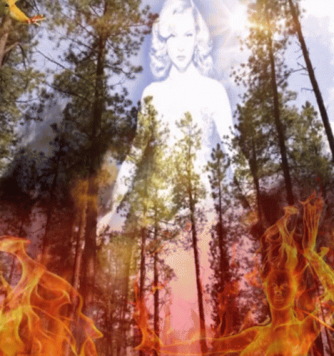 Woman In Forest Surrounded By Flames GIF