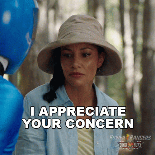 Woman In Hat Saying I Appreciate Your Concern Blue Power Ranger GIF