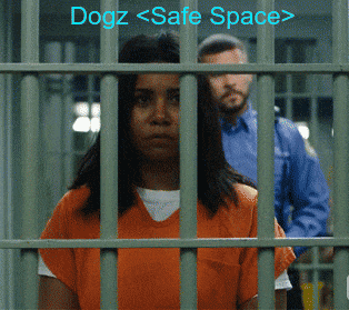 Woman In Jail Cell Dogz Safe Space GIF