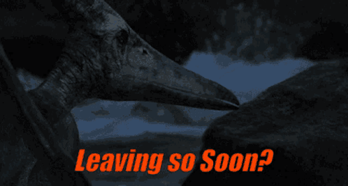 Woman in Kitchen Saying Shes Never Leaving Me