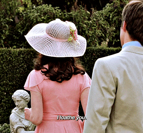 Woman in Pink Dress and Hat Says I Loath You