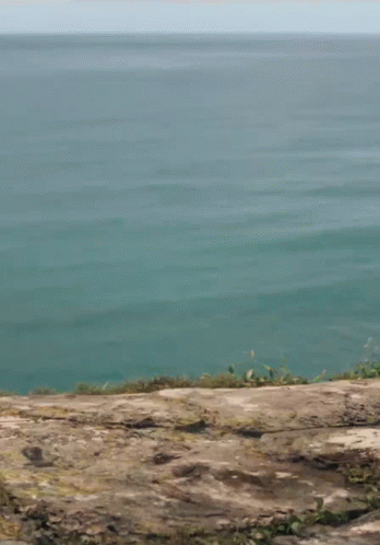 Woman In Pink Shirt And Shorts Jumping GIF