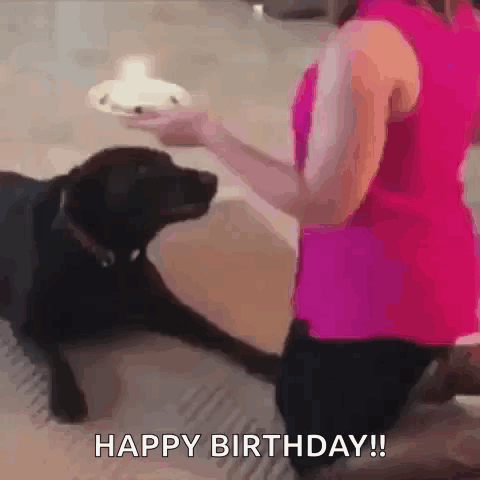 Woman in Pink Shirt Feeding Black Dog Cake
