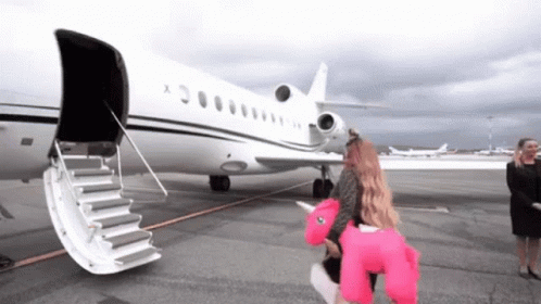 Woman In Pink Unicorn Costume Walking To Airplane GIF