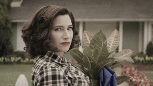 Woman in Plaid Shirt Holding Plant by Disney+ Sign