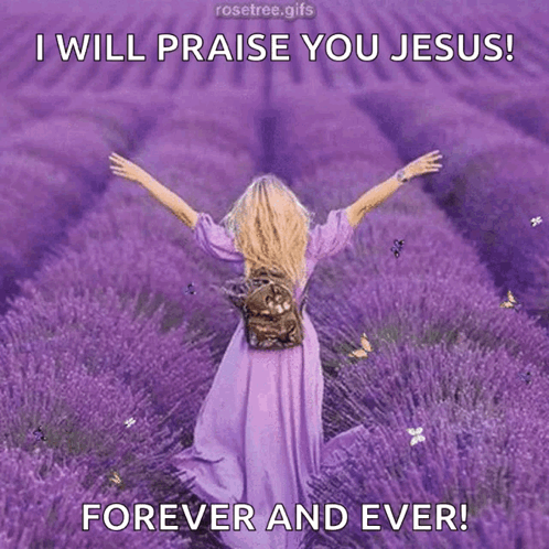 Woman in Purple Dress Walking Through Lavender