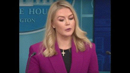 Woman In Purple Jacket And Necklace At Microphone GIF