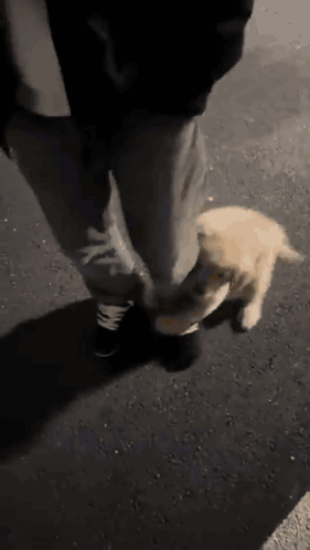 Woman In Red Coat And Man In Black Suit GIF