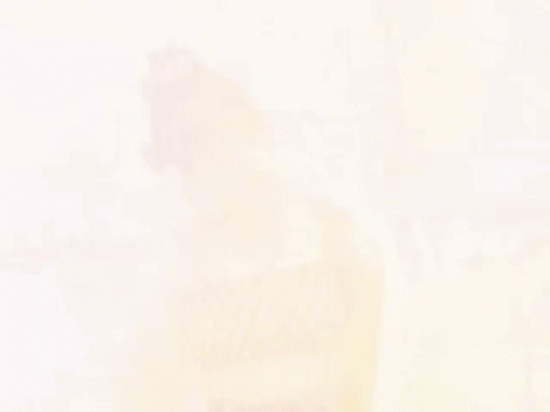 Woman In Red Crop Top Holding Sunglasses GIF