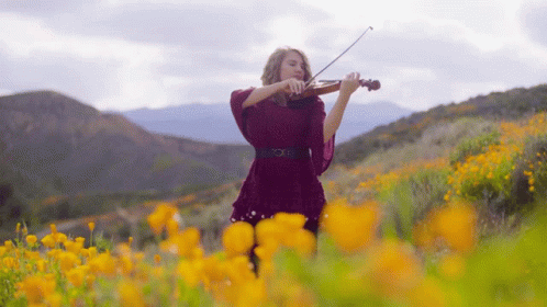 Woman In Red Dress Playing Violin In Yellow Flowers GIF
