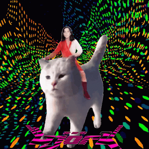 Woman in Red Dress Riding White Cat