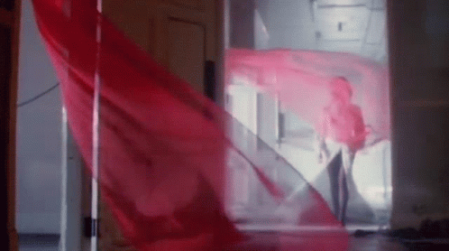 Woman in Red Dress With Red Cloth Blowing