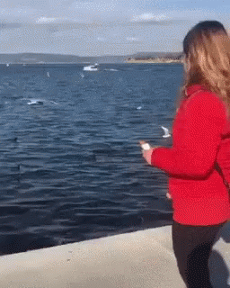 Woman in Red Jacket Watching Seagulls Near Water