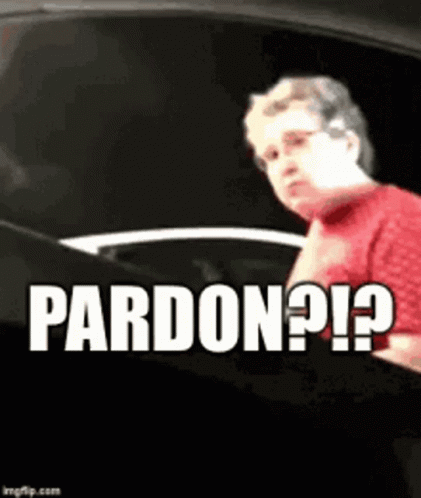 Woman in Red Shirt Next to Car Pardon ? ! ?
