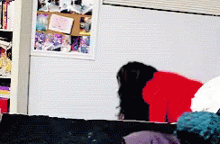 Woman in Red Shirt Standing by Bookshelf