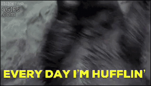 Woman In Santa Suit Dancing In Kitchen Holiday Spirit Activate Merry Christmas GIF