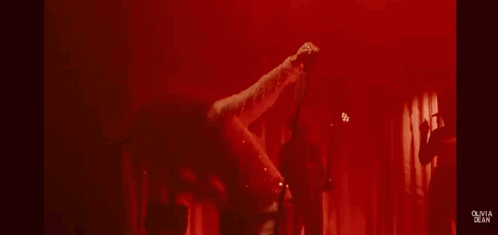 Woman In Sheer Dress Singing Into Microphone On Stage GIF