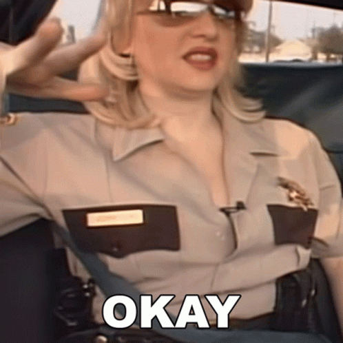 Woman In Sheriff Uniform Sitting In Car Saying Okay GIF