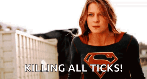 Woman In Superman Costume Killing All Ticks GIF