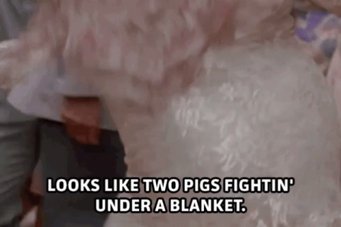 Woman in Wedding Dress Says Looks Like Two Pigs Fighting Under Blanket