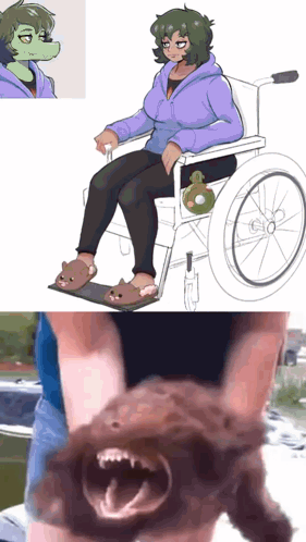 Woman in Wheelchair Next to Person Holding Dog
