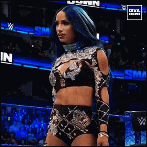 Woman in Wrestling Ring With Diva Outfit