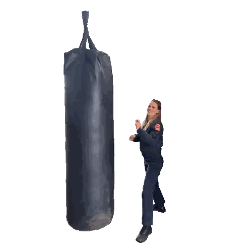 Woman Kicking Punching Bag