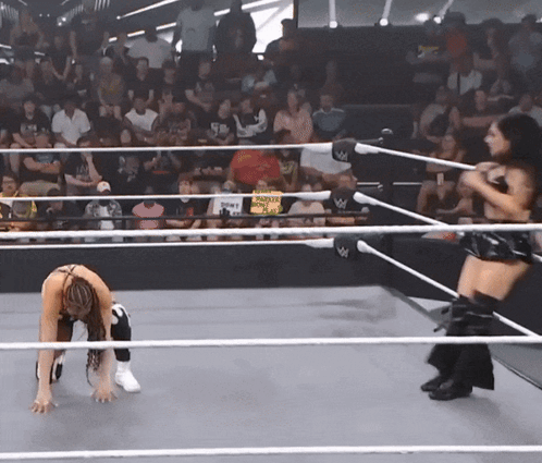 Woman Kneeling in Wrestling Ring with WWE Logo