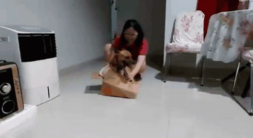 Woman Kneeling With Dog in Bag