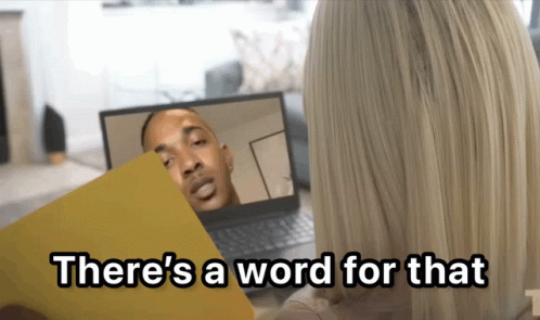Woman Laptop There's A Word For That GIF