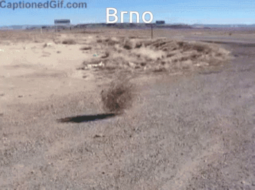 Woman Laughing Holding Paper By World Map GIF