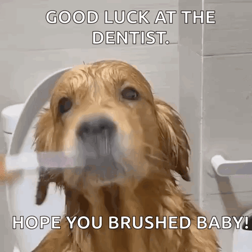 Woman Laughing I Laugh To Keep From Crying GIF