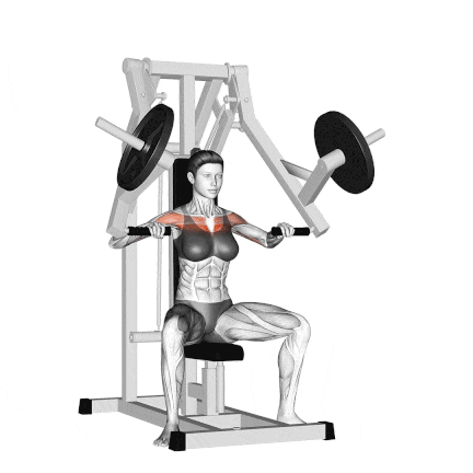 Woman Lifting Barbell Over Shoulders On Machine GIF