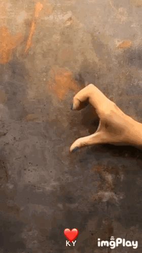 Woman Making Heart Shape with Fingers