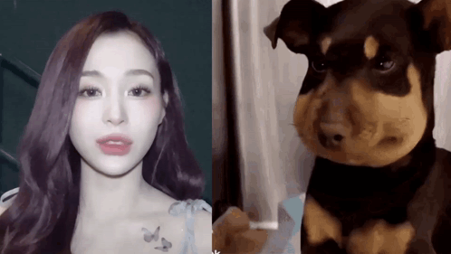 Woman Next to Realistic Stuffed Dog