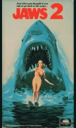 Woman on Wakeboard Attacked by Shark