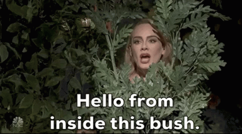 Woman Peeking Out of Bush Saying Hello