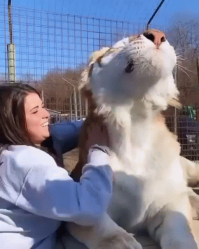Woman Petting Big Scritches GIF