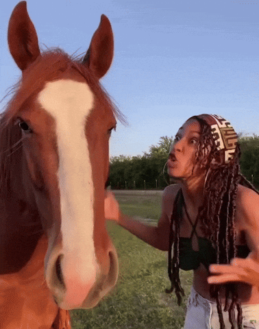 Woman Petting Brown Horse With Fendi Scarf GIF