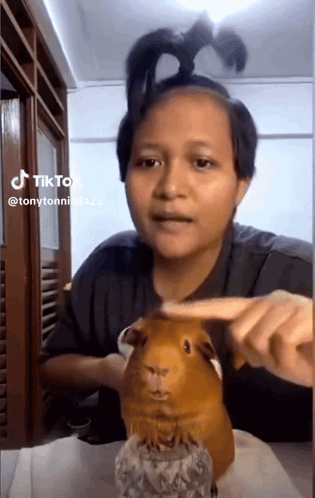 Woman Petting Guinea Pig Wearing Ponytail GIF