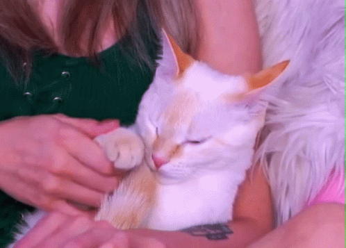 Woman Petting White Cat with Tattoo