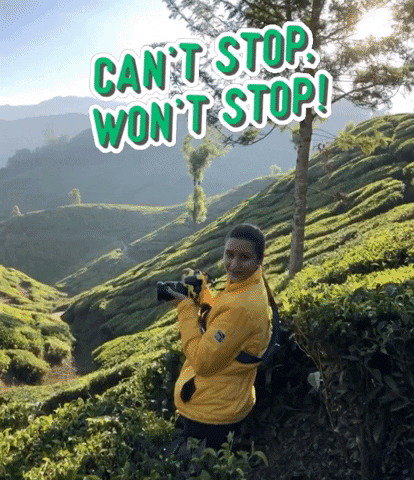 Woman Photographer Cant Stop Wont Stop GIF