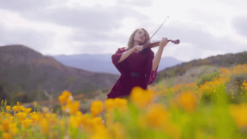Woman Playing Violin In Field Of Flowers GIF