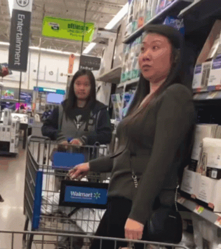 Woman Pushing Shopping Cart in Walmart Aisle