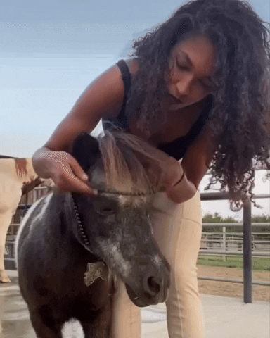 Woman Putting Necklace Around Neck Of Pony GIF