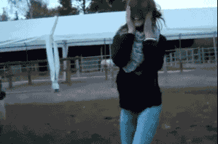 Woman Rammed By Sheep GIF