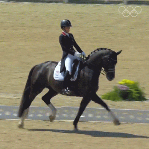 Woman Riding Black Horse With Olympic Rings GIF