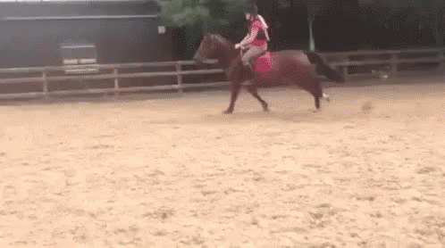 Woman Riding Brown Horse GIF