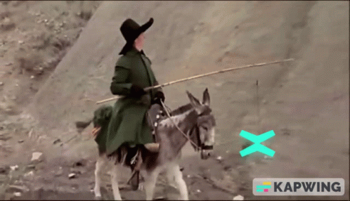 Woman Riding Donkey With Fishing Rod GIF