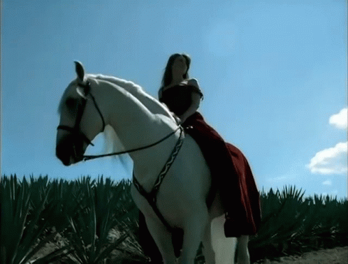 Woman Riding White Horse GIF